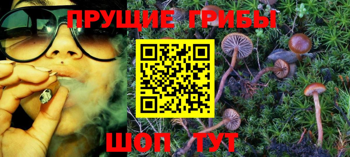 что такое наркотик  Вход с VPN  Кириши  Псилоцибиновые грибы Magic Shrooms 