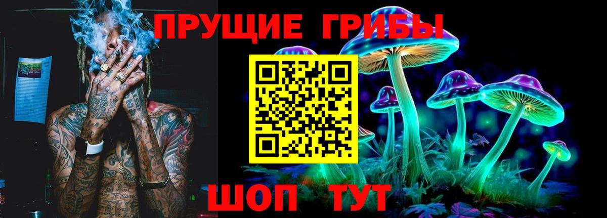 Псилоцибиновые грибы MAGIC MUSHROOMS Кириши
