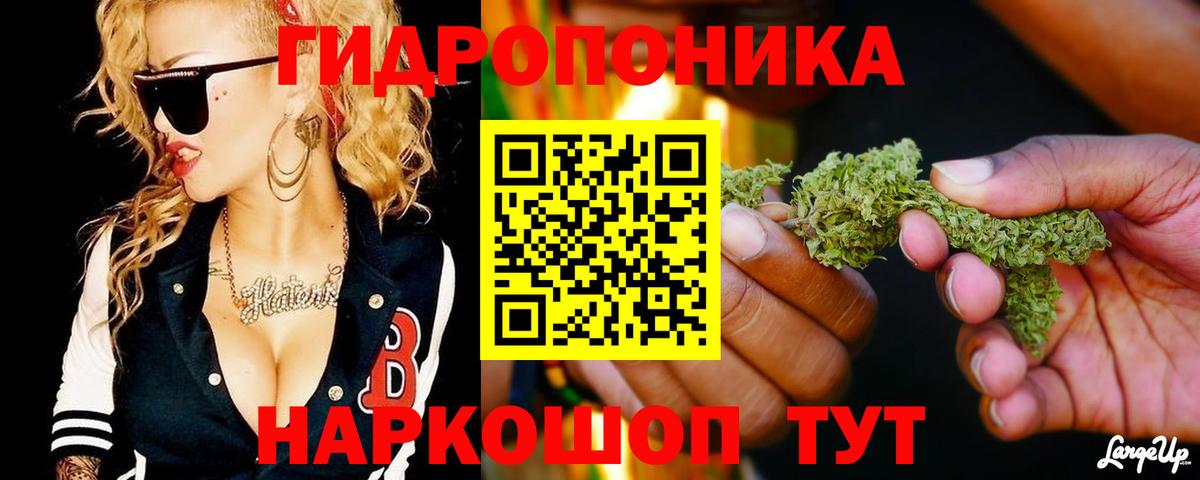 Кириши  Конопля планчик  Вход с VPN  Бошки Шишки гибрид 
